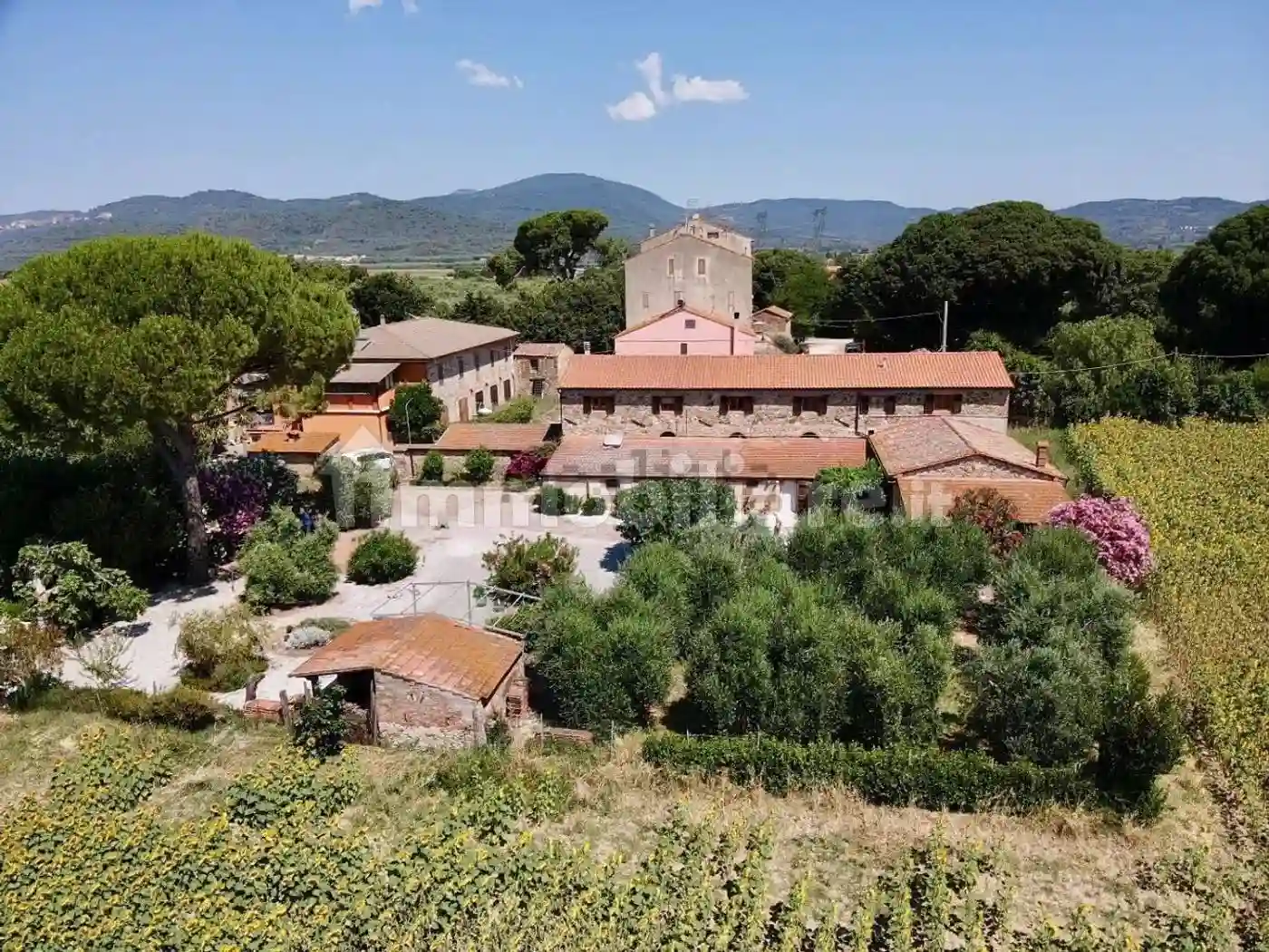 Rustico - Casale - foto 3
