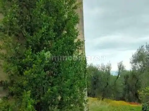Rustico - Casale in vendita a Vico del Gargano