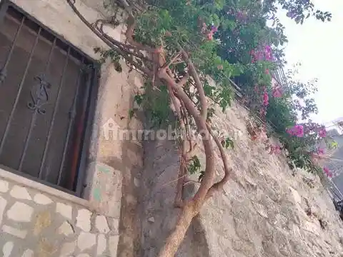 Appartamento in vendita a Vico del Gargano