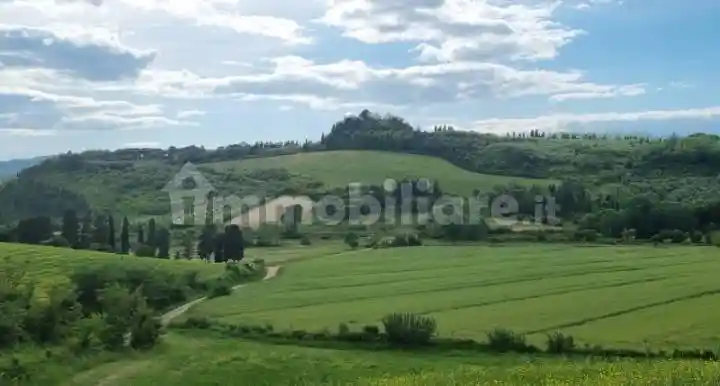 Palazzo - Edificio in vendita a Fauglia