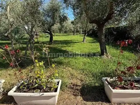Villa in affitto a Montignoso