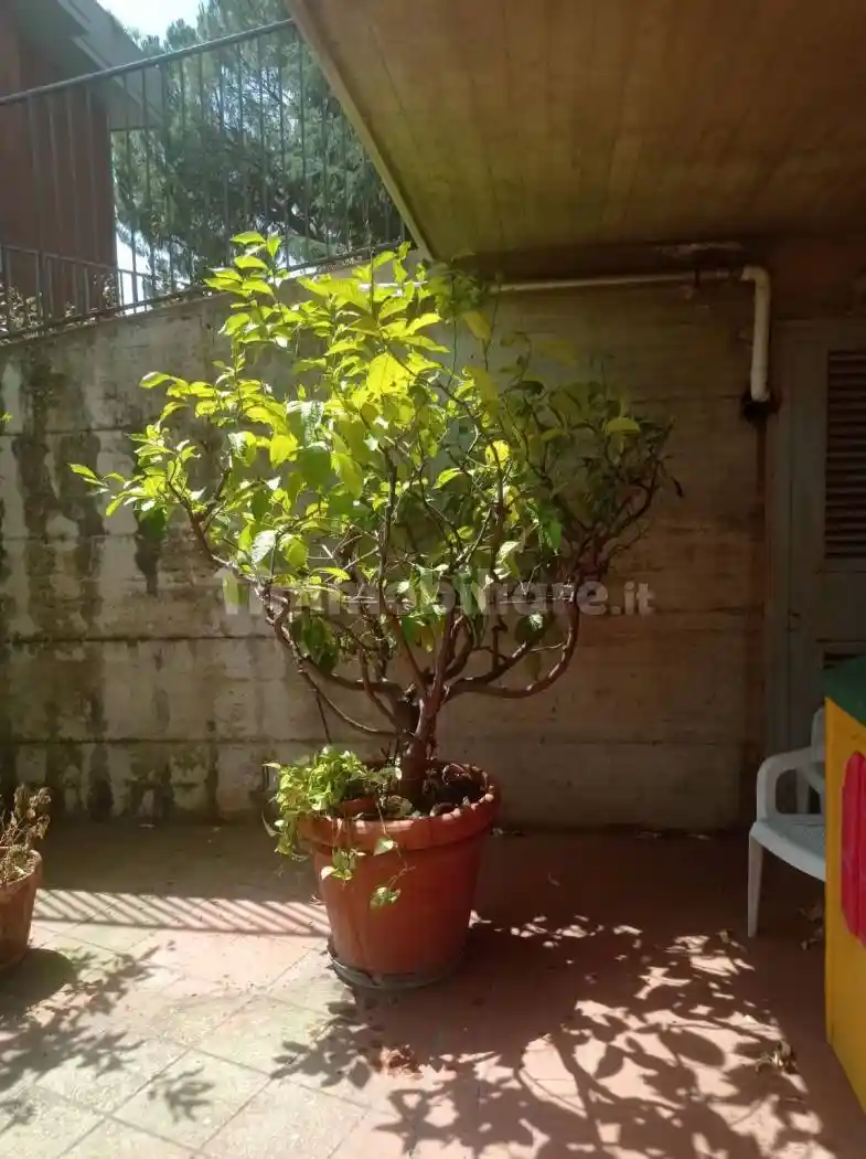 Villa in vendita a Firenze