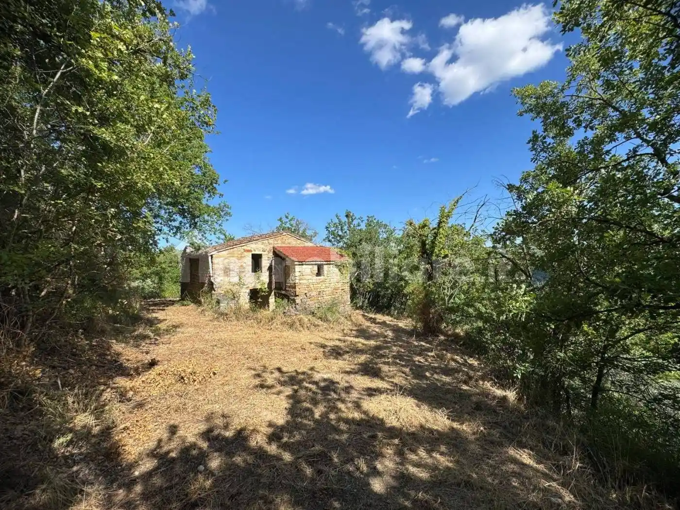 Rustico - Casale in vendita a Montelparo