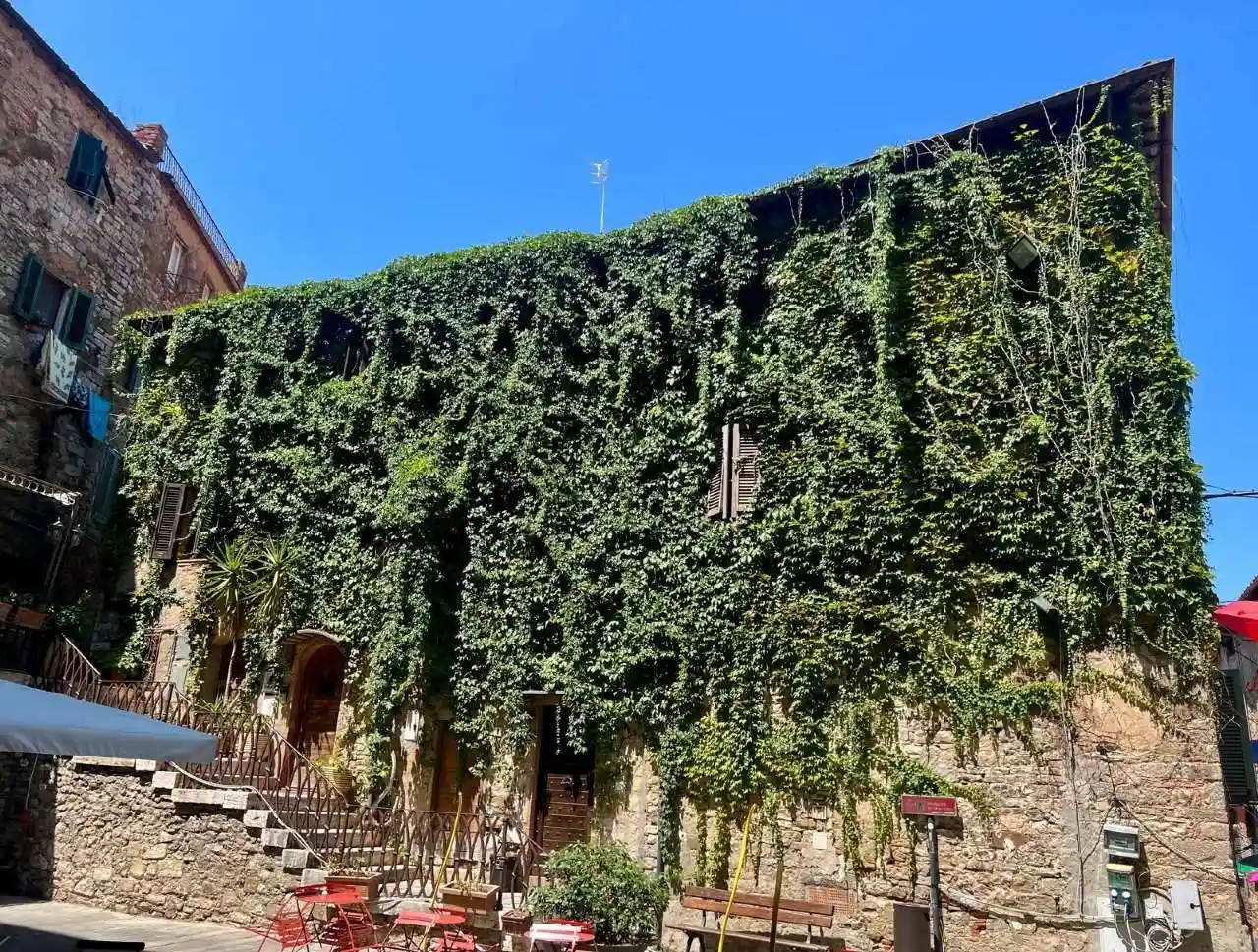 Appartamento in affitto a Campiglia Marittima