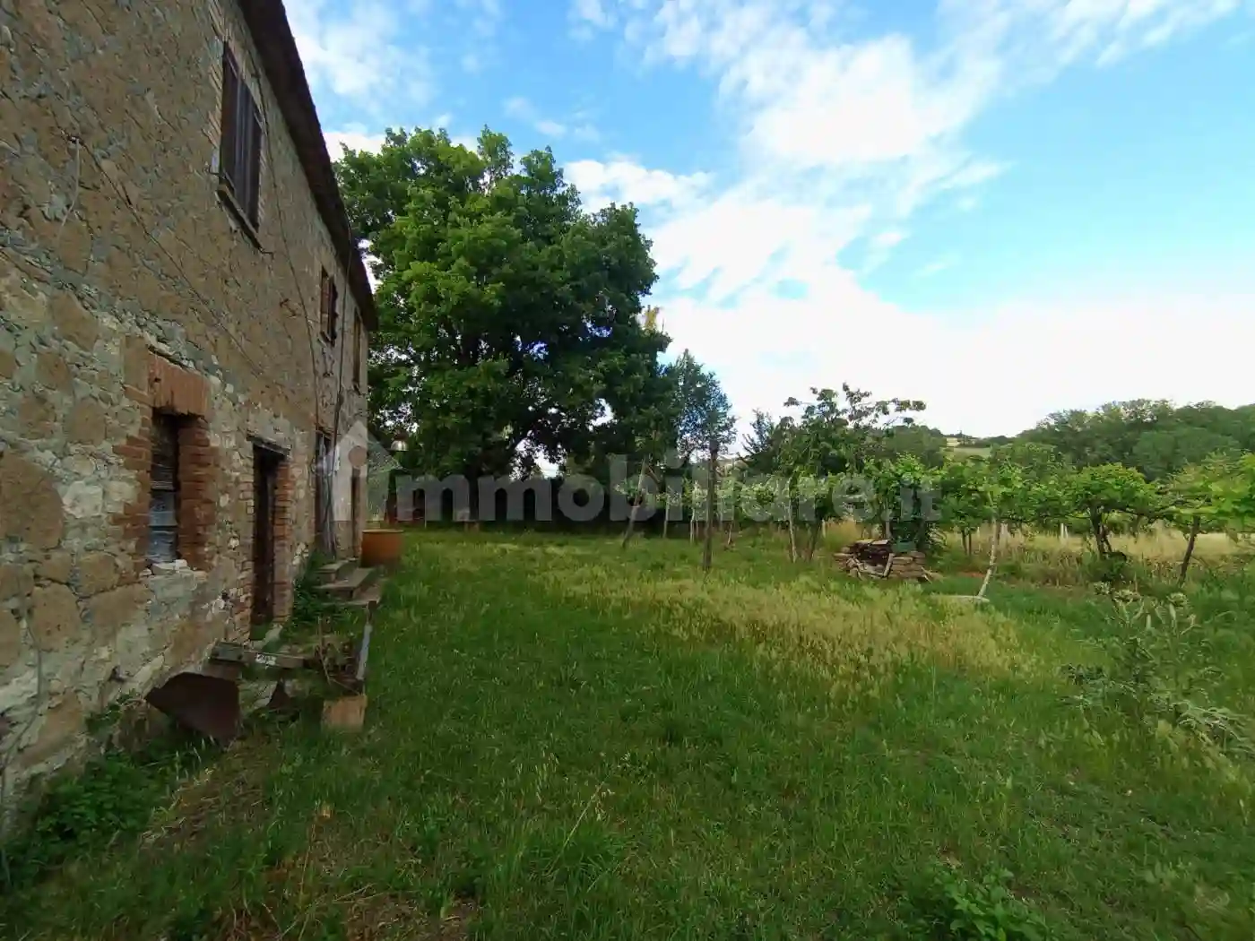 Rustico - Casale - foto 5