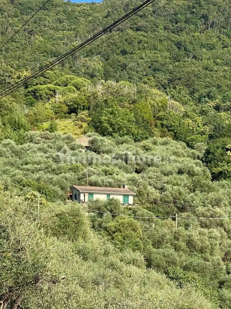 Villa in vendita a Moneglia