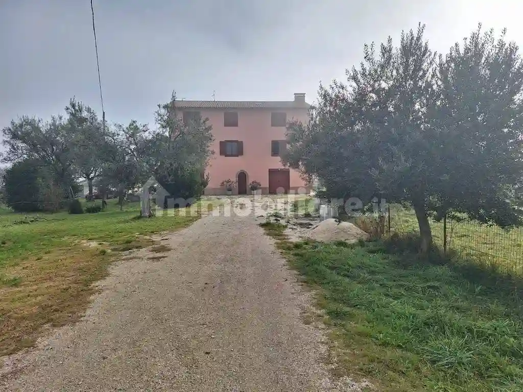 Rustico - Casale - foto 3