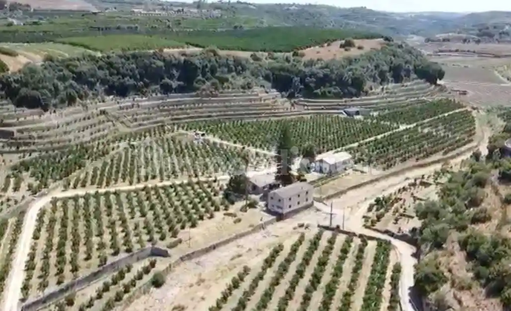 Rustico - Casale in vendita a Carlentini