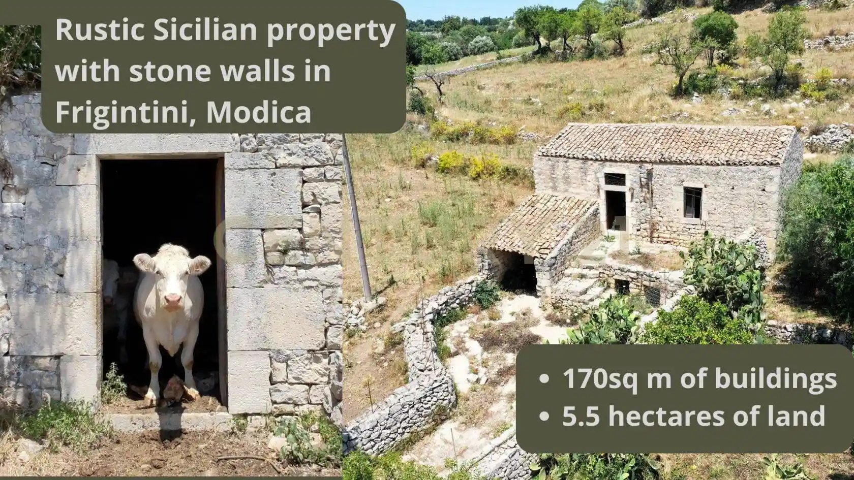 Rustico - Casale in vendita a Modica