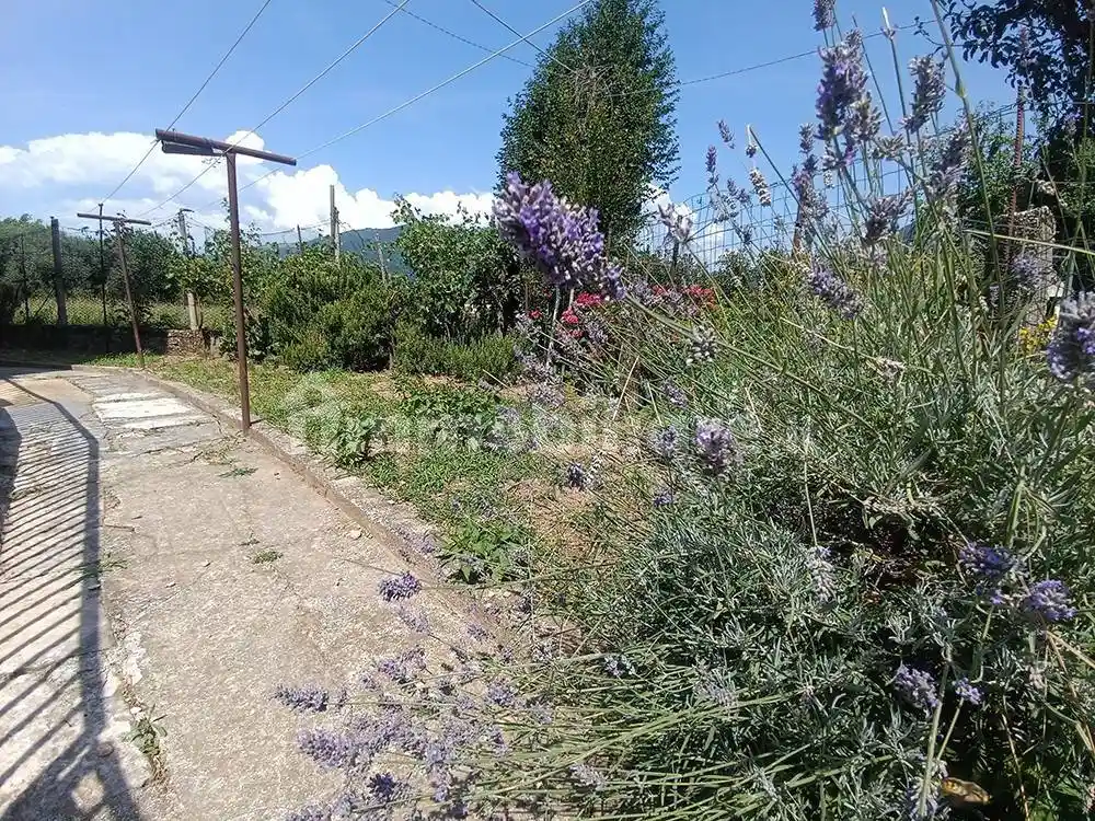 Casa indipendente in vendita a Romano d'Ezzelino