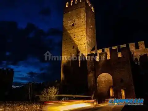 Villa in vendita a Montagnana