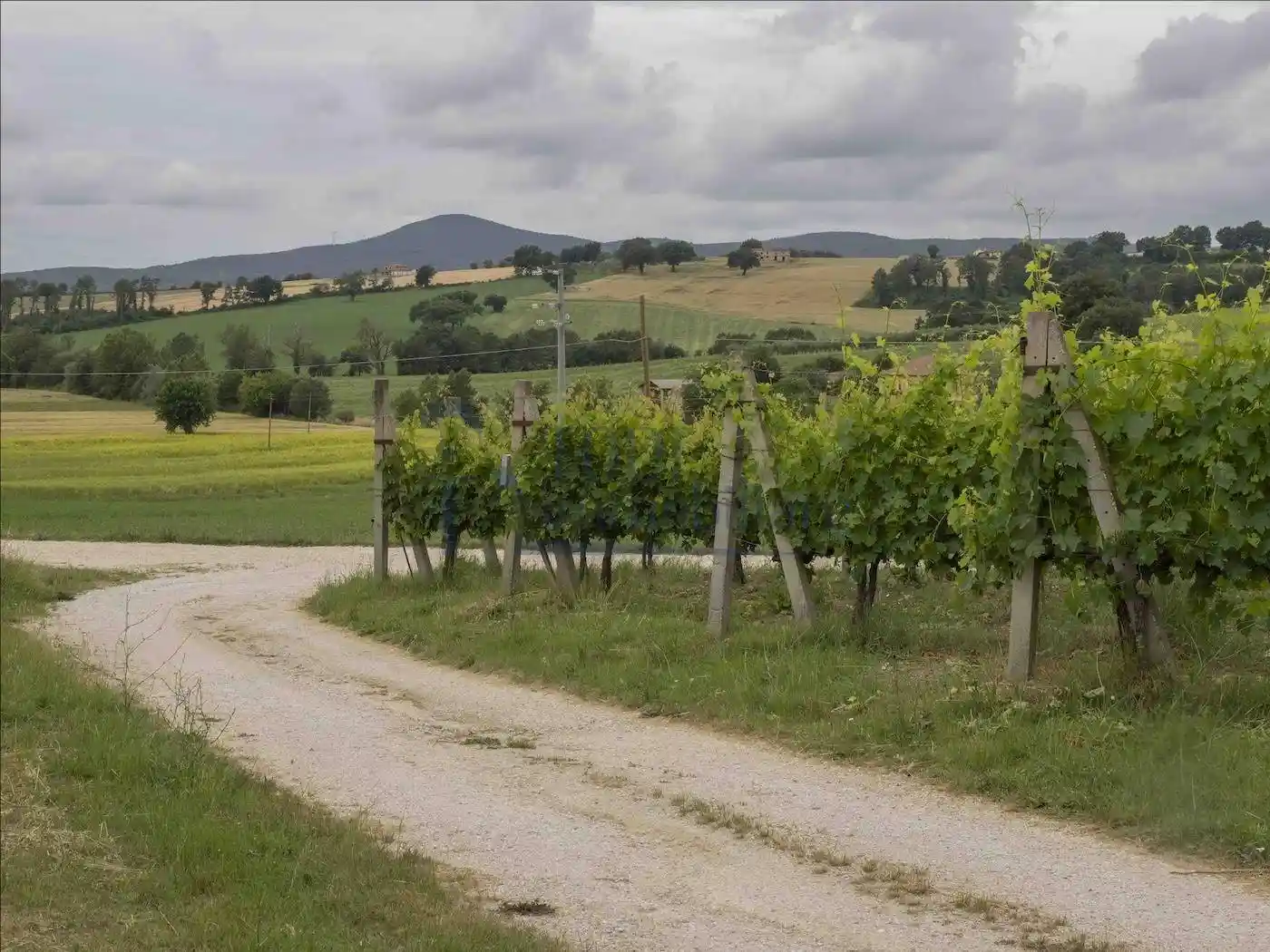 Villa in vendita a Montecastrilli