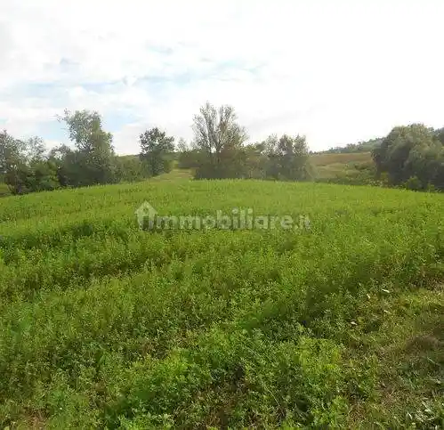 Rustico - Casale in vendita a Ziano Piacentino