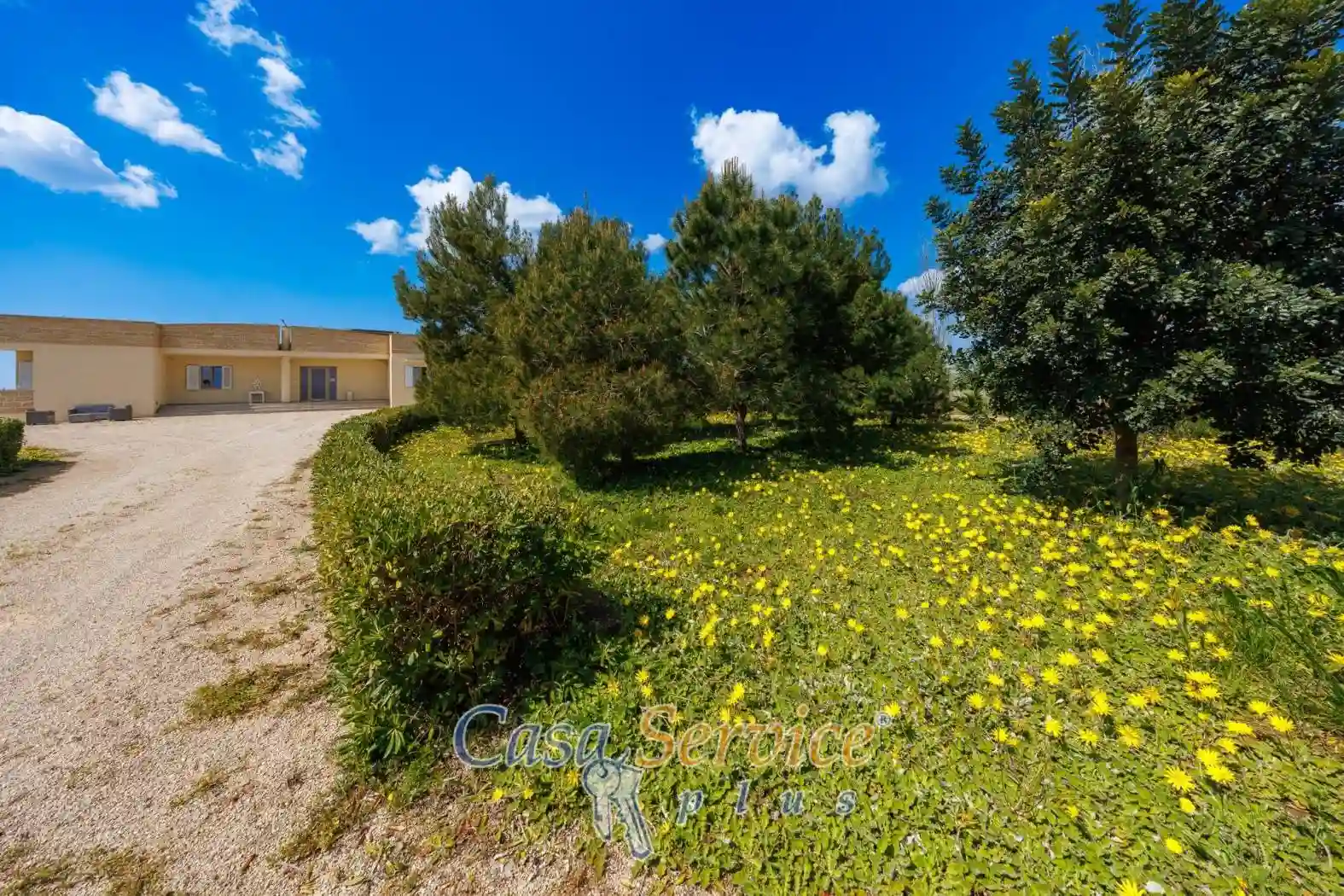 Villa - foto 4