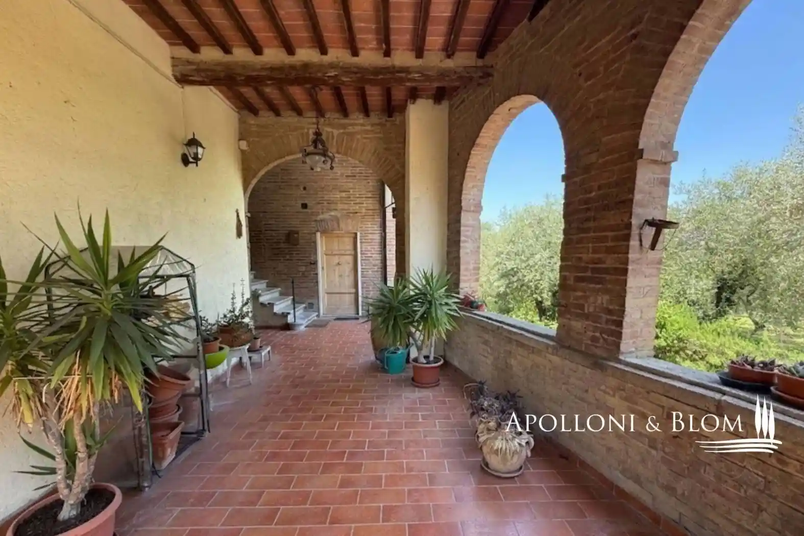 Rustico - Casale in vendita a Siena