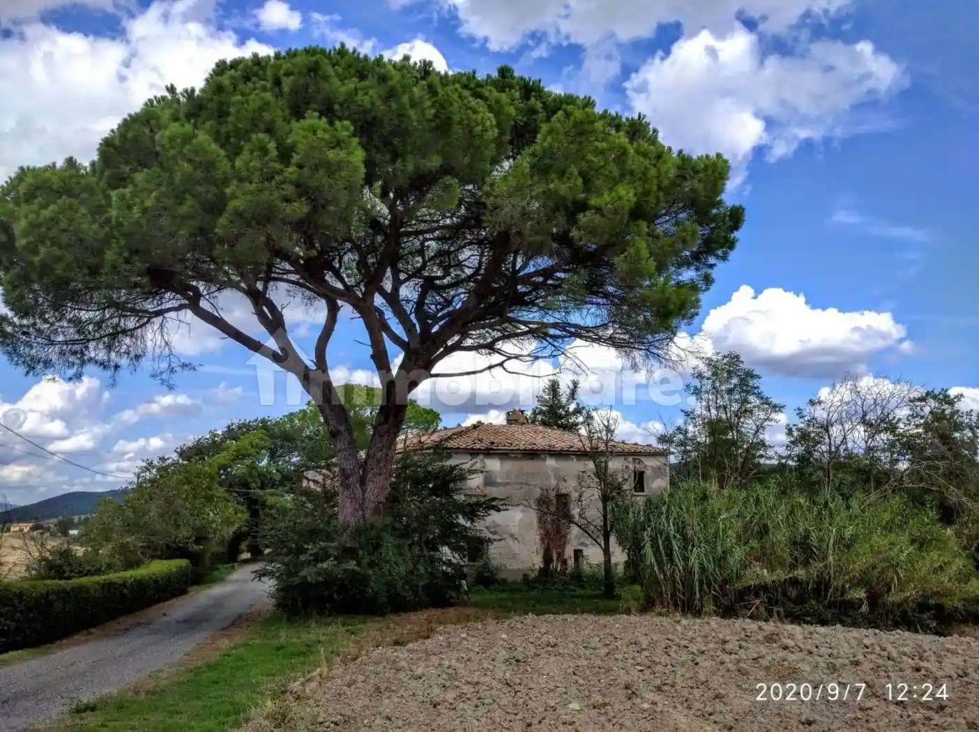 Rustico - Casale in vendita a Pomarance