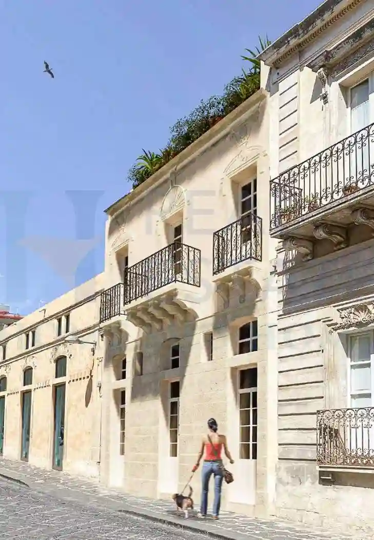 Palazzo - Edificio - foto 5