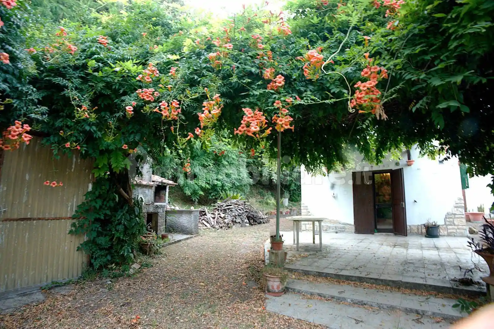 Rustico - Casale in vendita a Fauglia