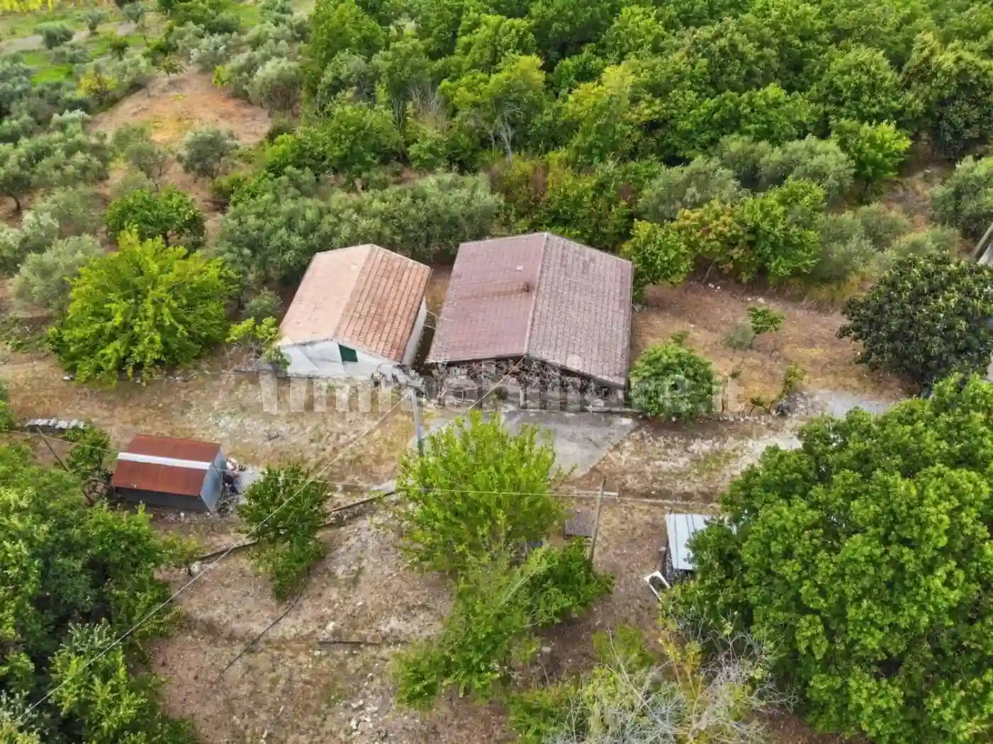 Rustico - Casale - foto 4