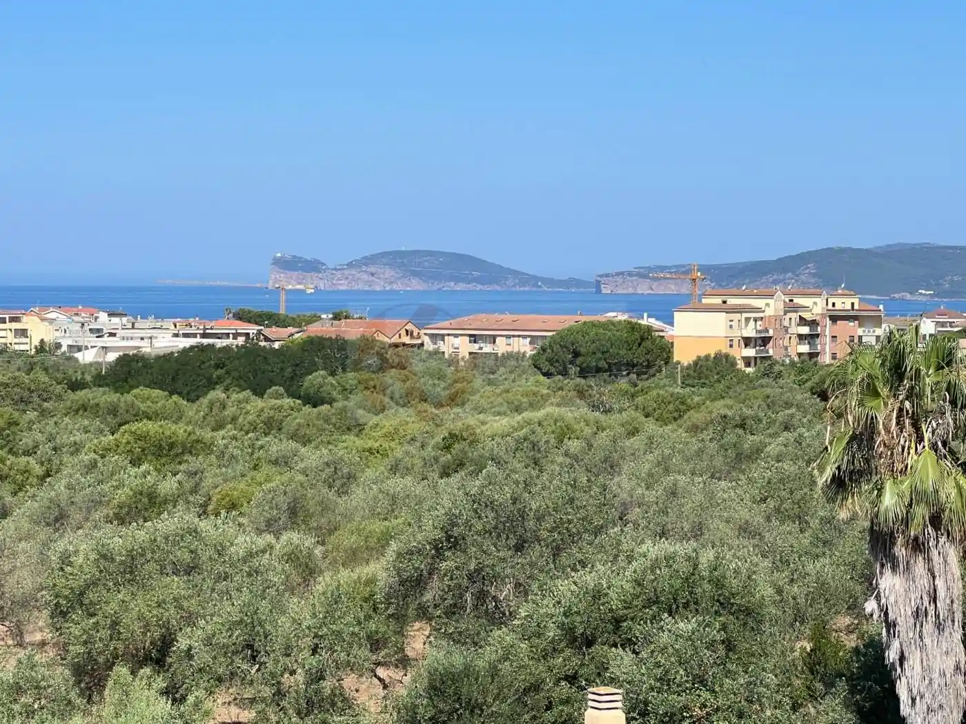 Villa in vendita a Alghero