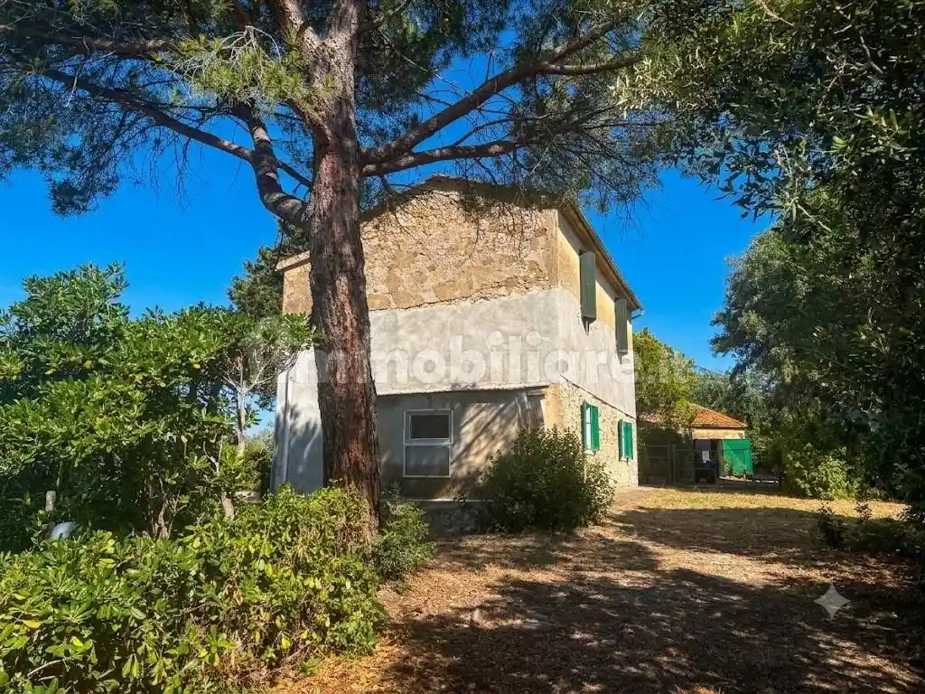 Rustico - Casale in vendita a Campagnatico