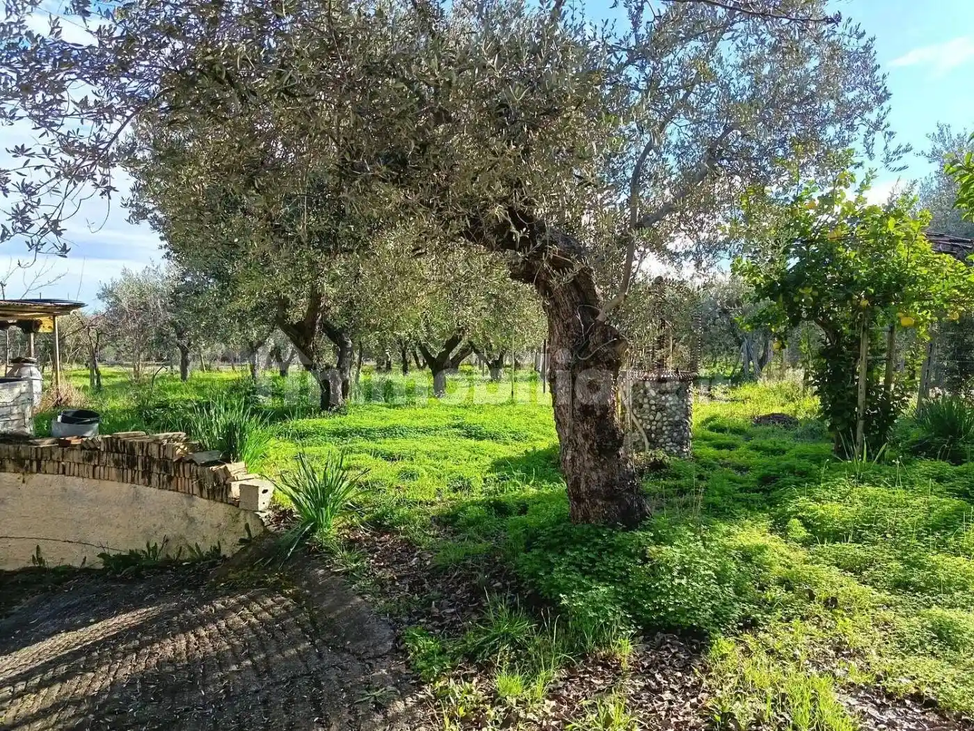 Villa in vendita a Treglio