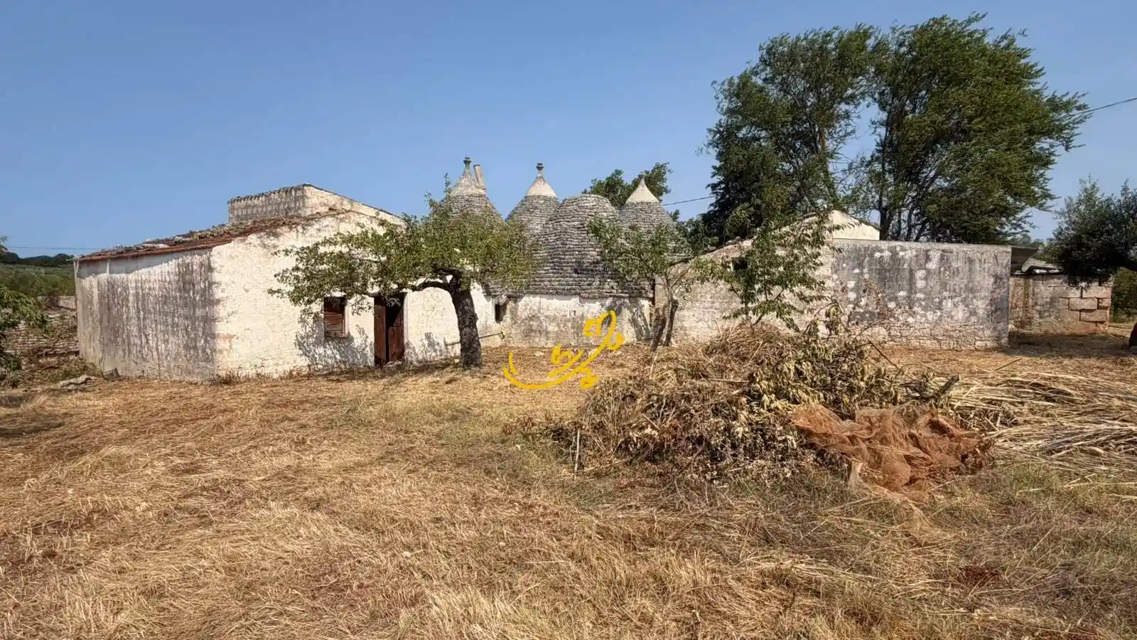 Rustico - Casale in vendita a Castellana Grotte