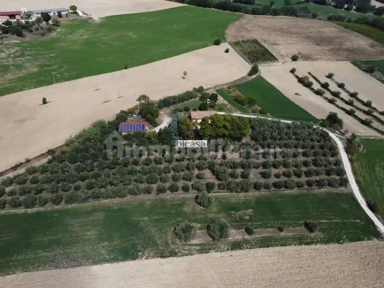 Rustico - Casale - foto 5