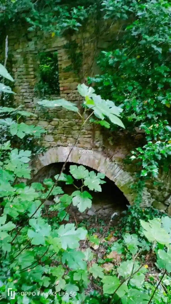 Rustico - Casale in vendita a Mombaroccio