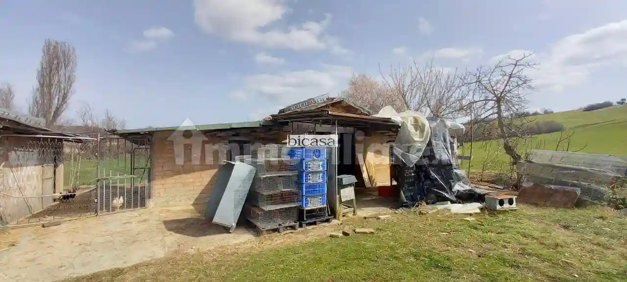 Rustico - Casale - foto 5