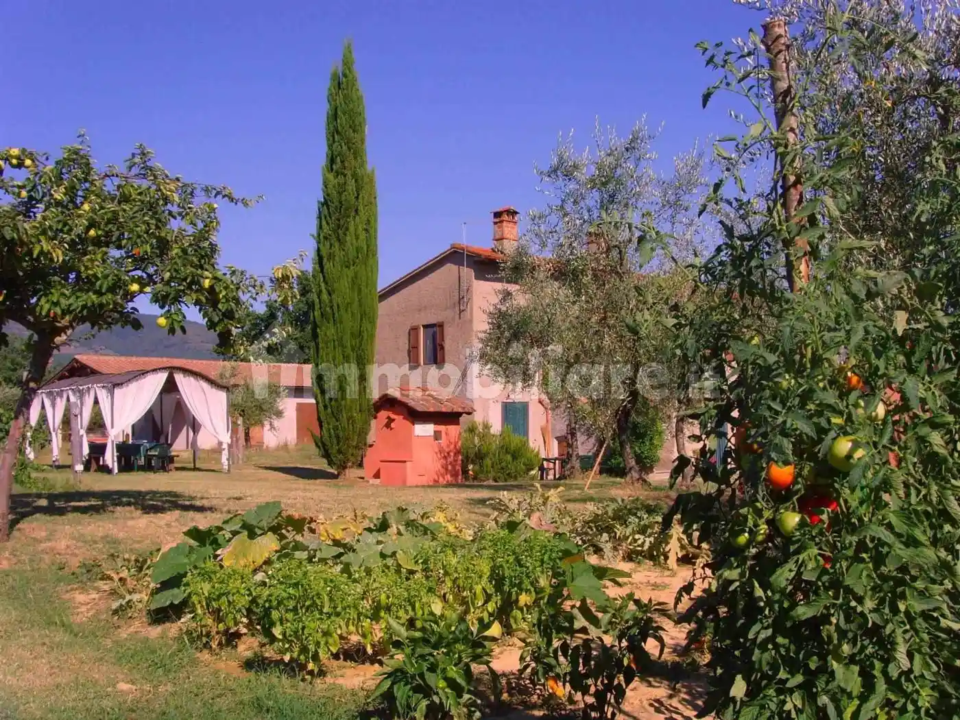 Rustico - Casale in vendita a Terranuova Bracciolini