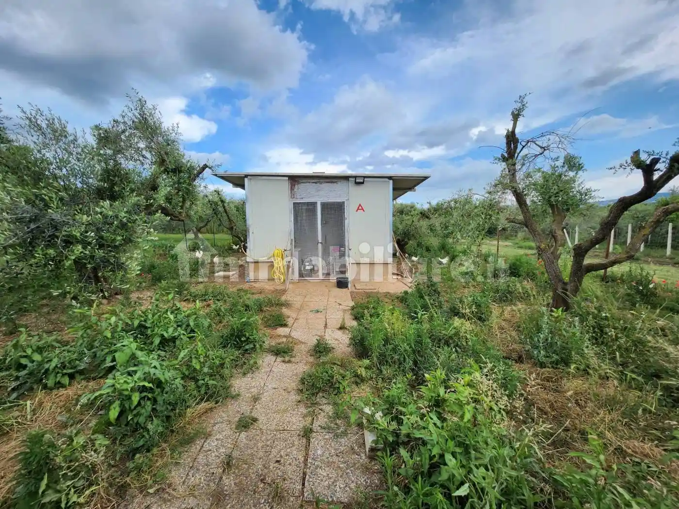 Rustico - Casale in vendita a Zagarolo