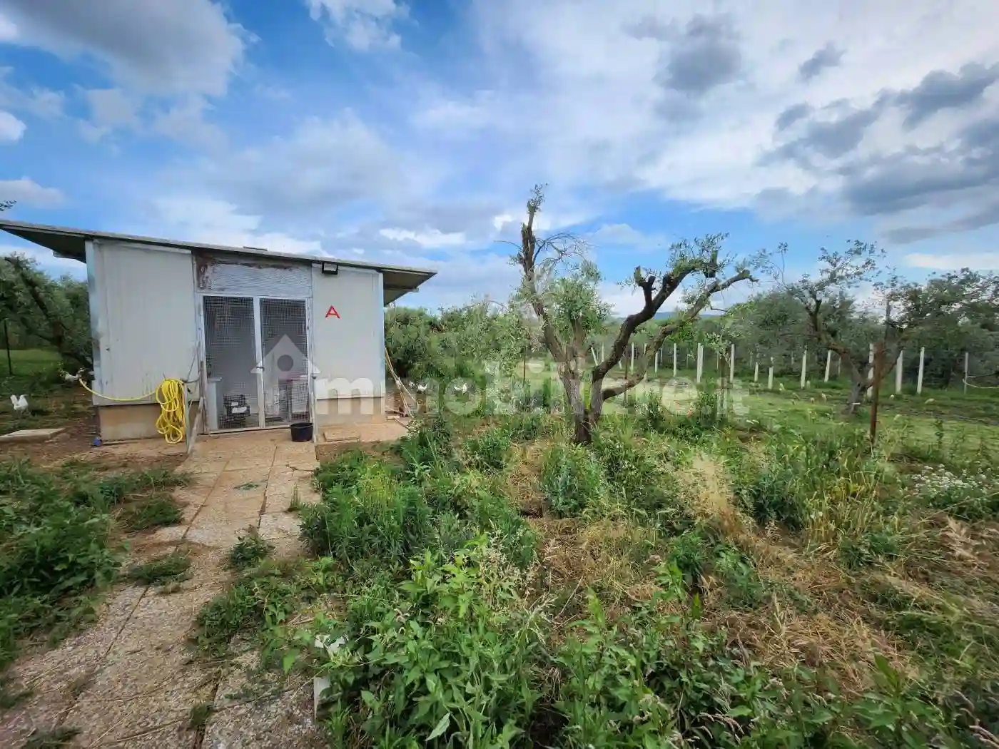 Rustico - Casale - foto 3
