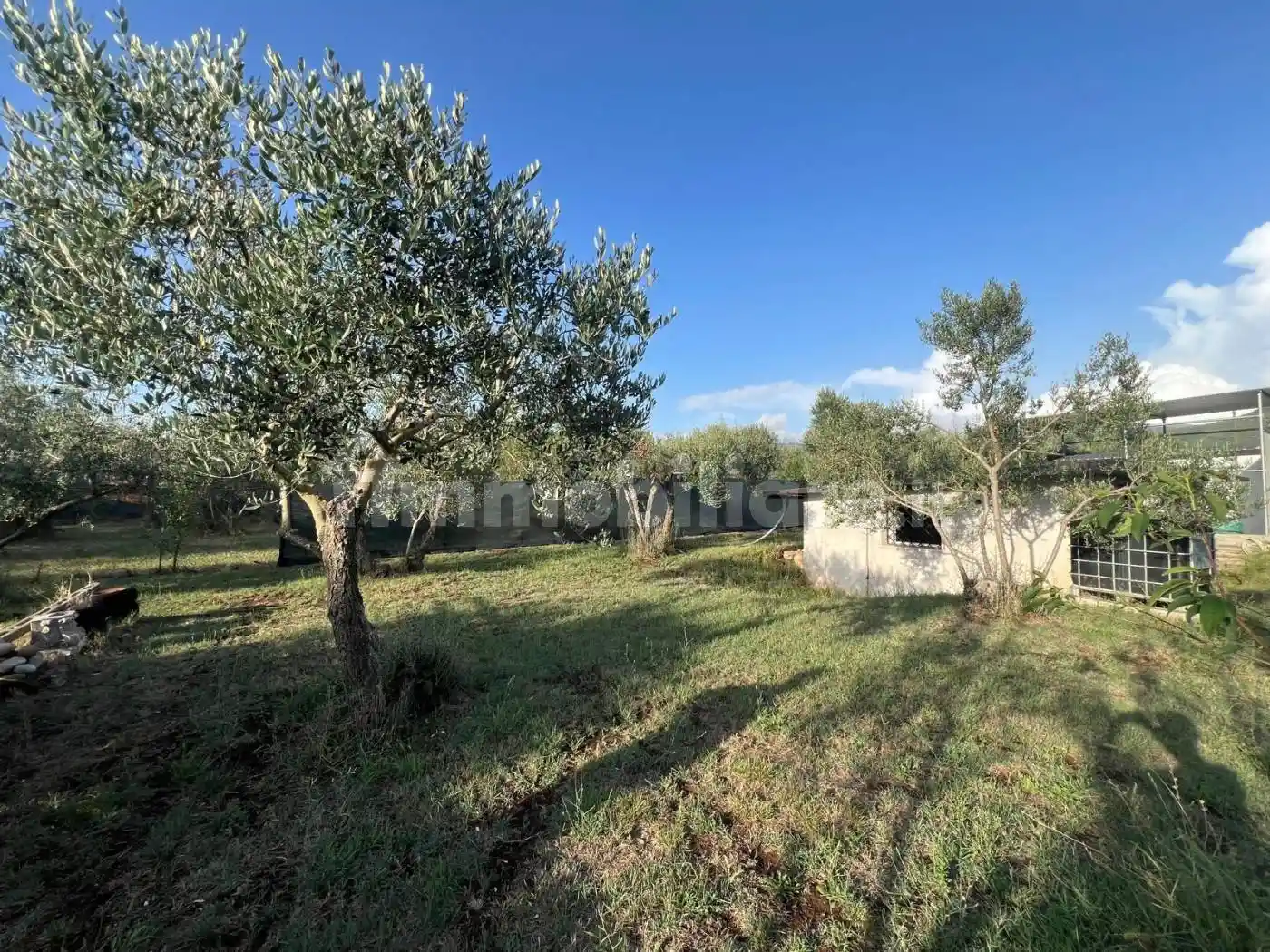 Rustico - Casale in vendita a Poli