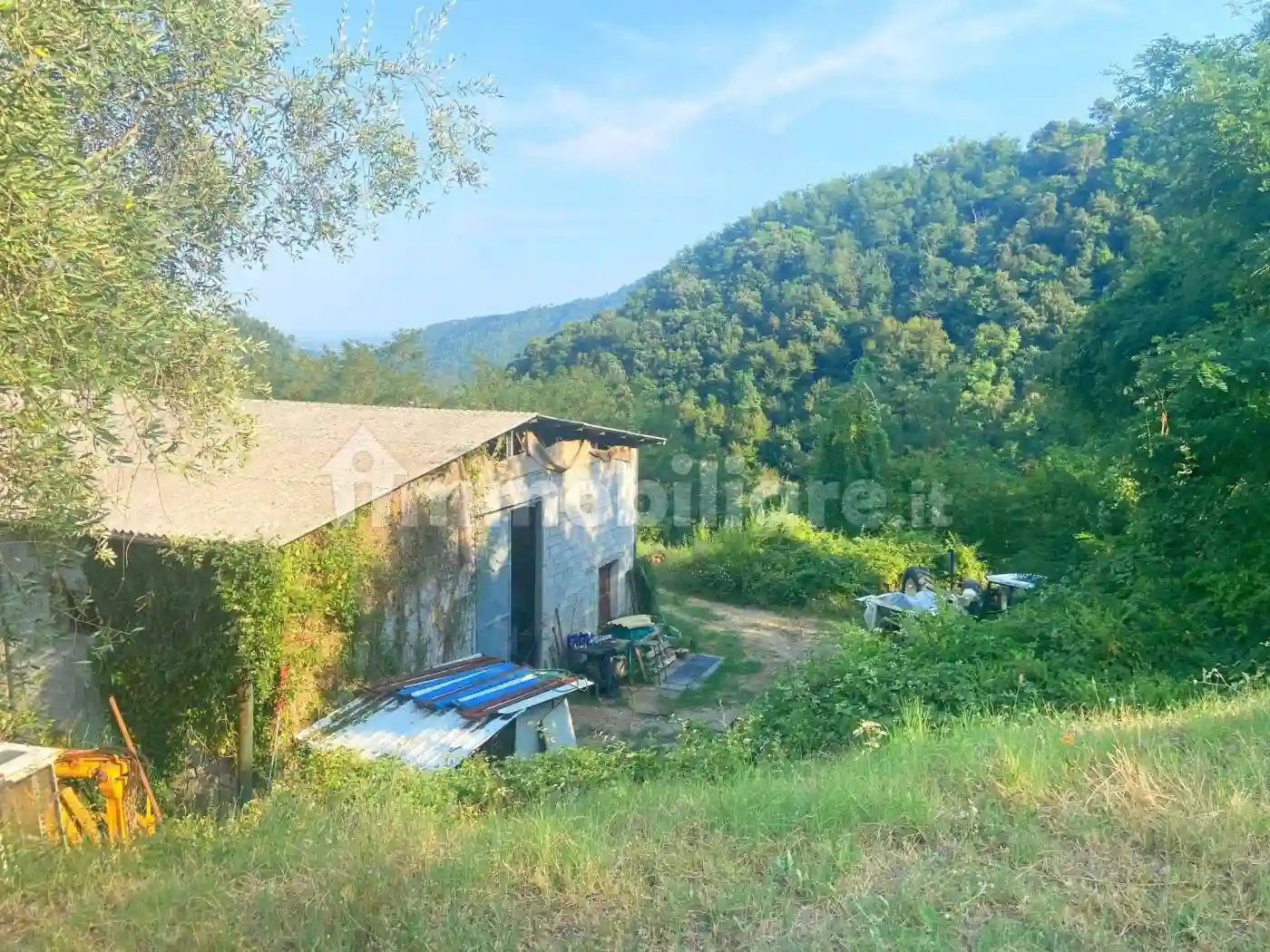 Rustico - Casale - foto 5