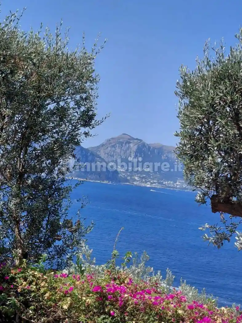Appartamento in affitto a Massa Lubrense