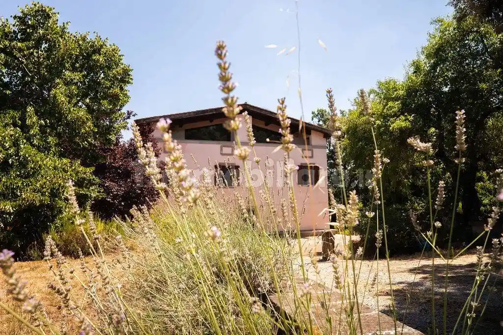 Rustico - Casale in vendita a Viterbo