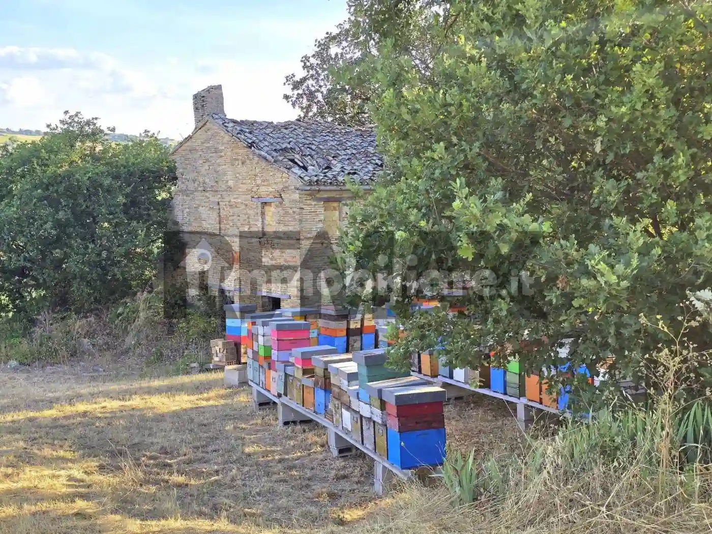 Rustico - Casale - foto 4