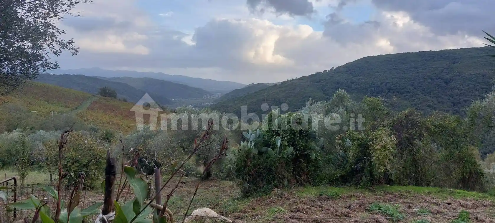 Rustico - Casale in vendita a Rutino