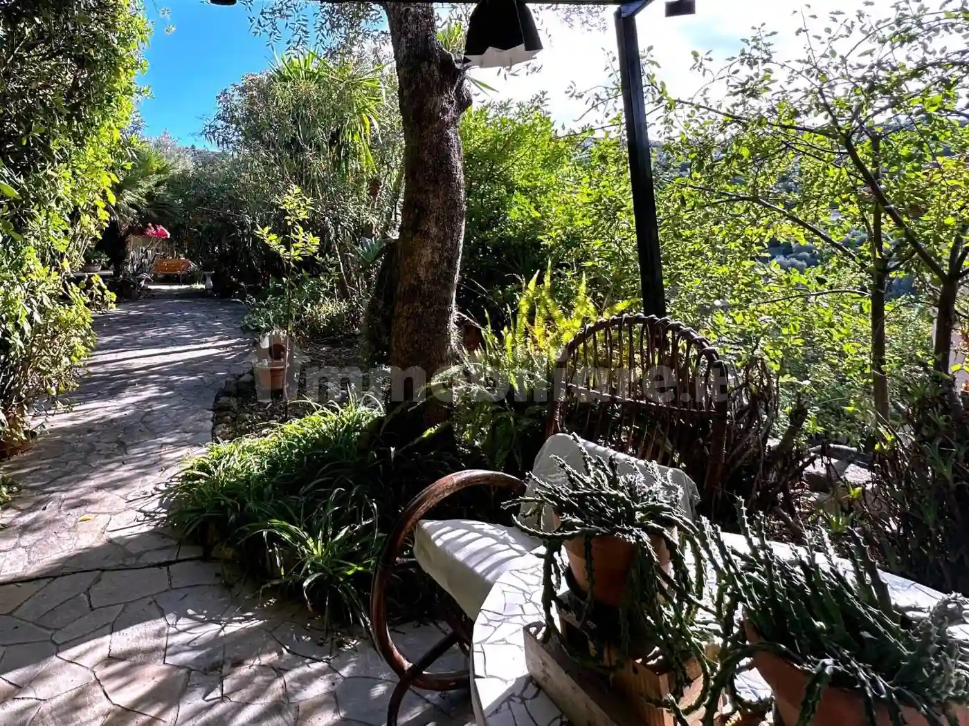 Rustico - Casale - foto 4
