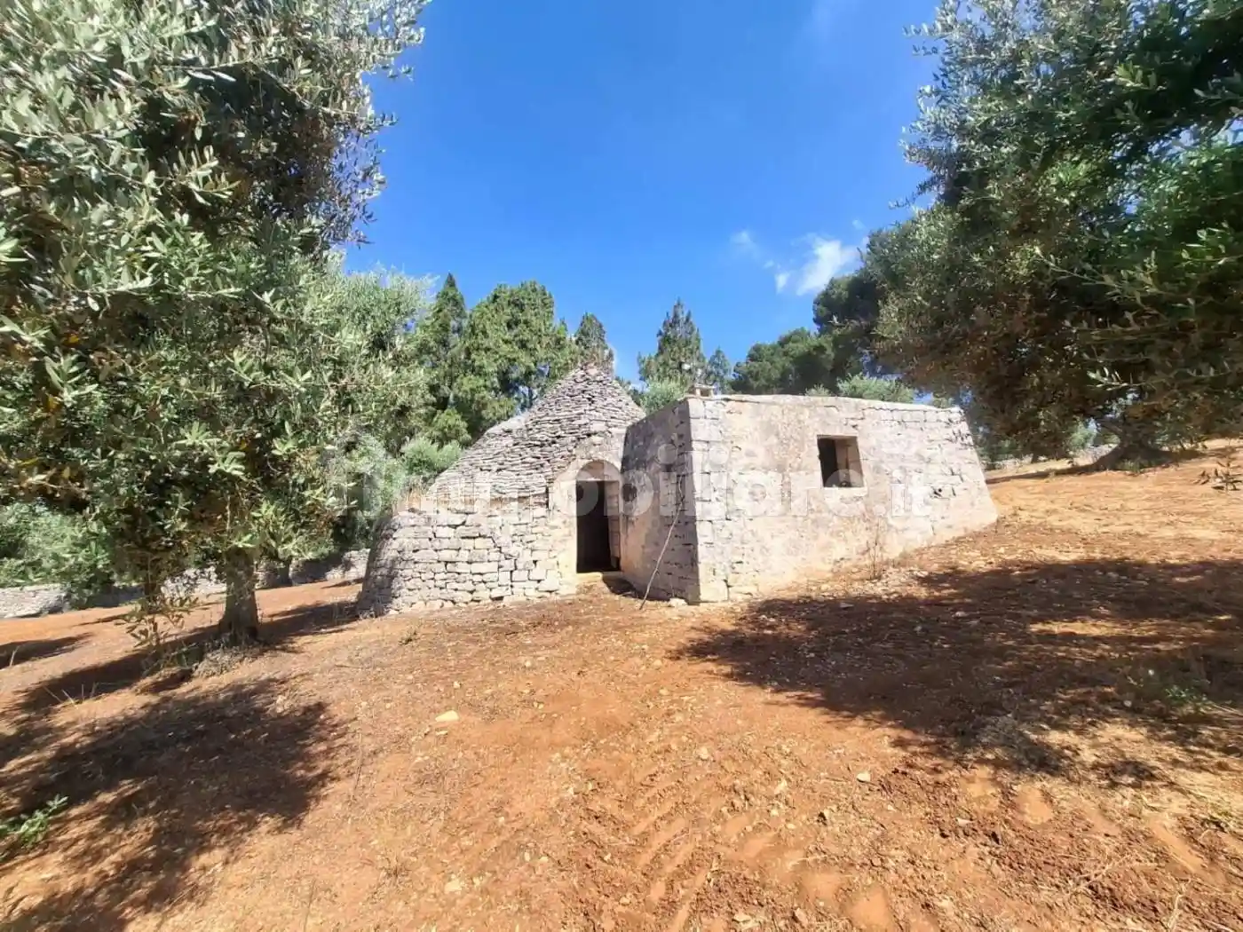 Rustico - Casale in vendita a Ostuni