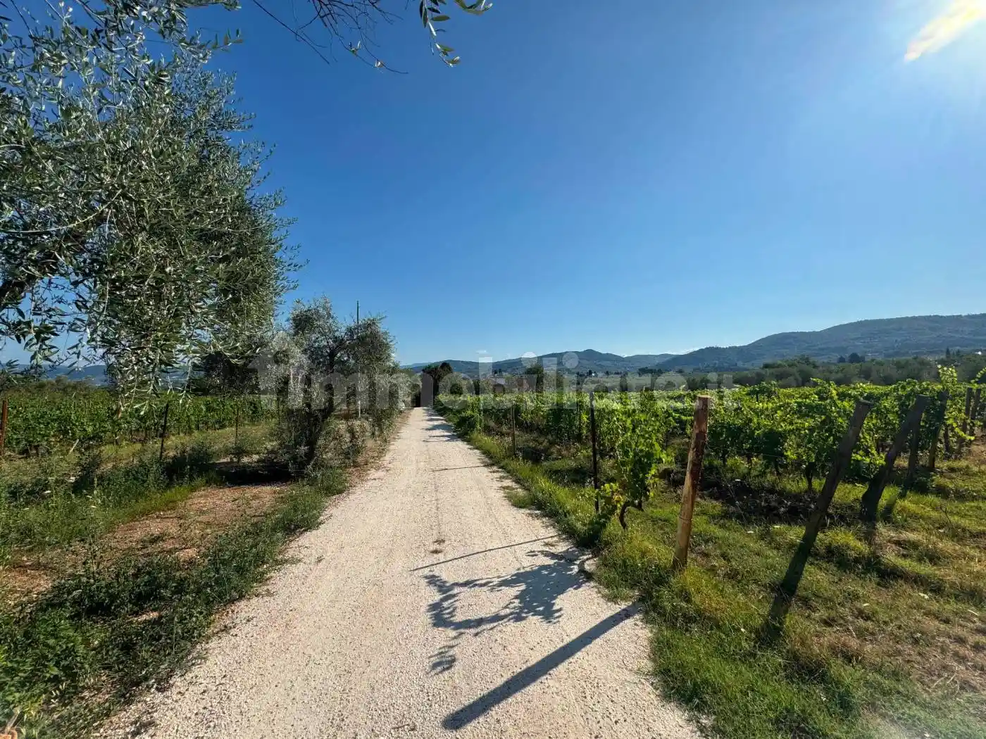 Rustico - Casale in affitto a Bagno a Ripoli