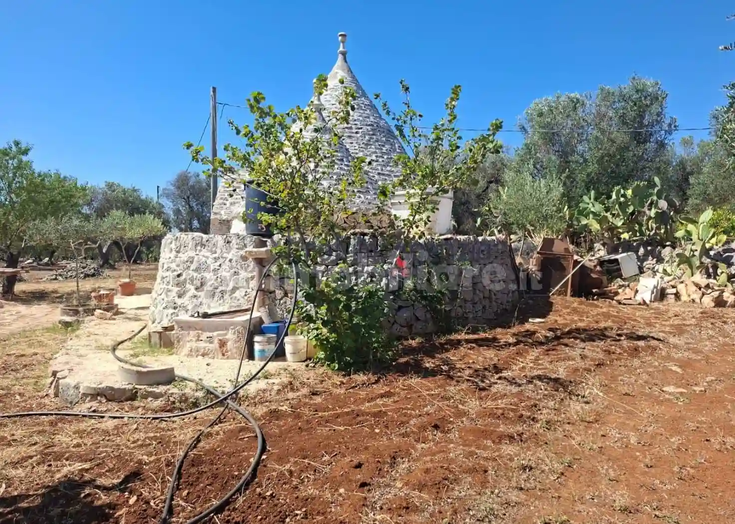 Rustico - Casale - foto 5