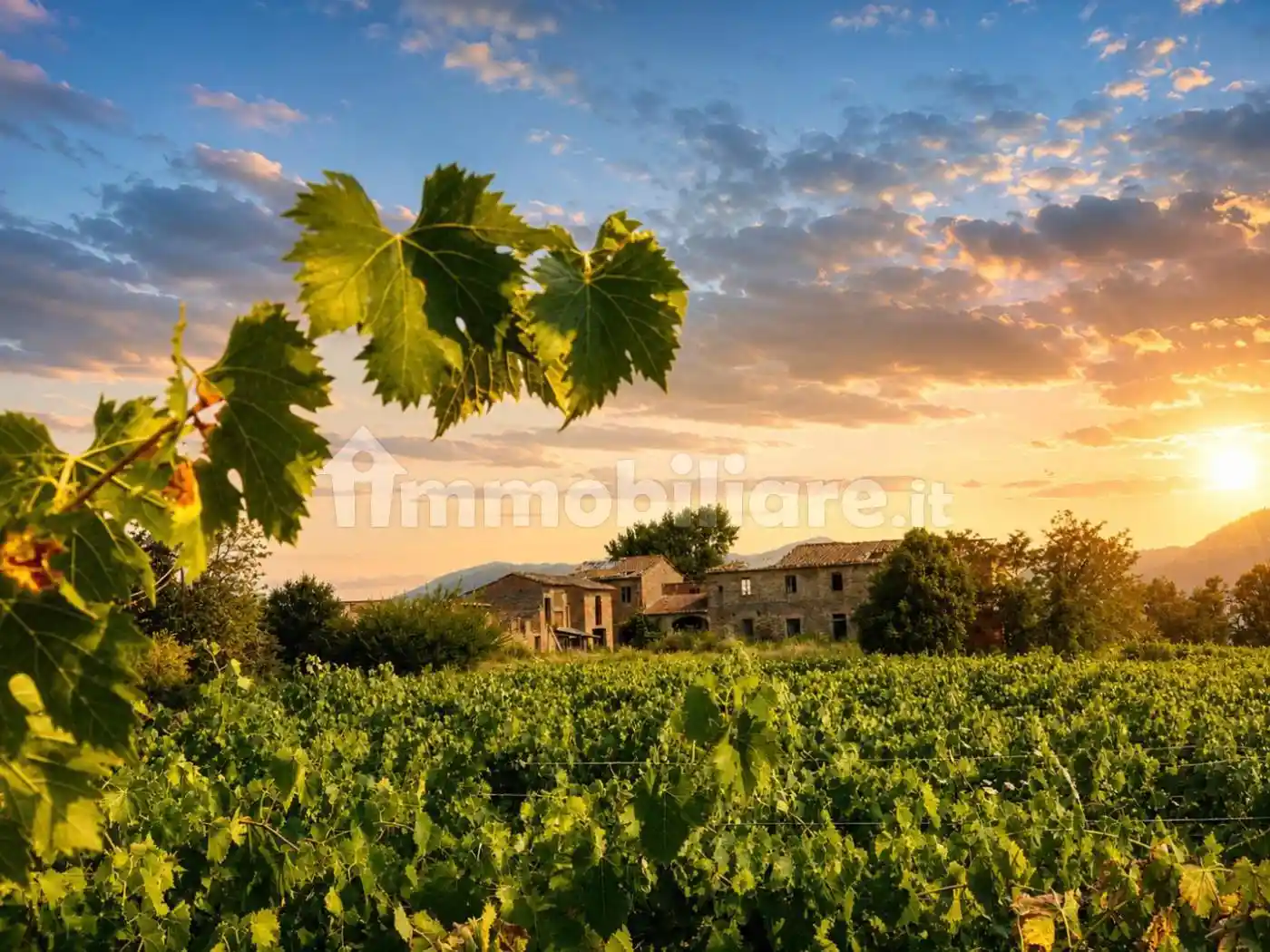 Rustico - Casale in vendita a Cerreto Guidi