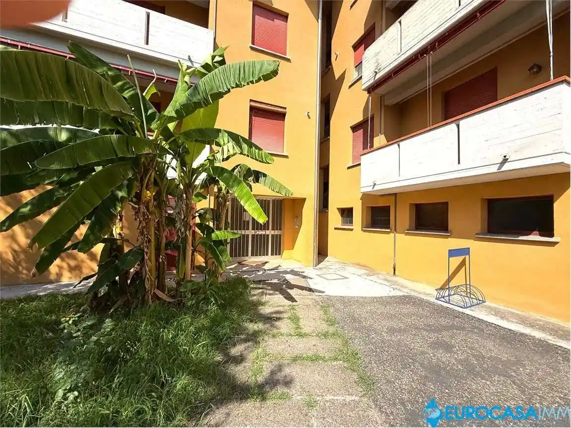 Appartamento in vendita a Rolo