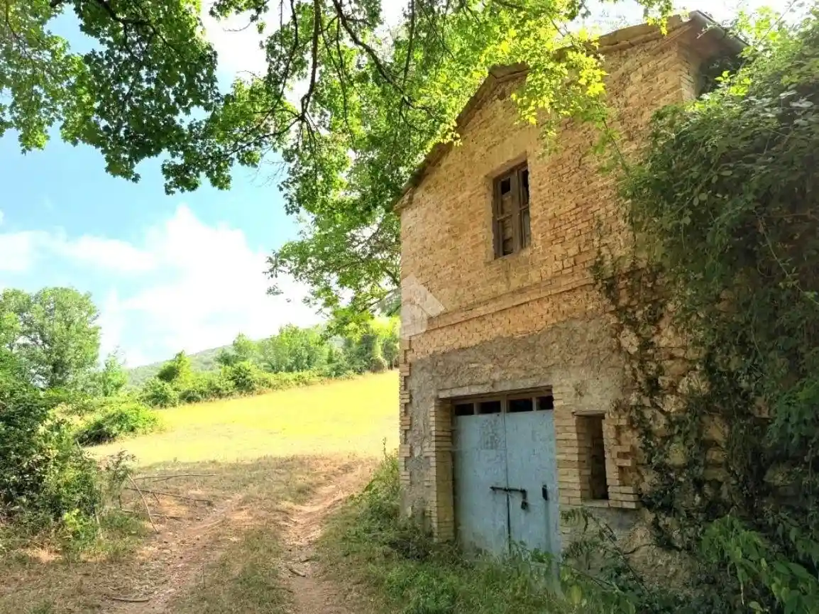 Rustico - Casale in vendita a Montasola