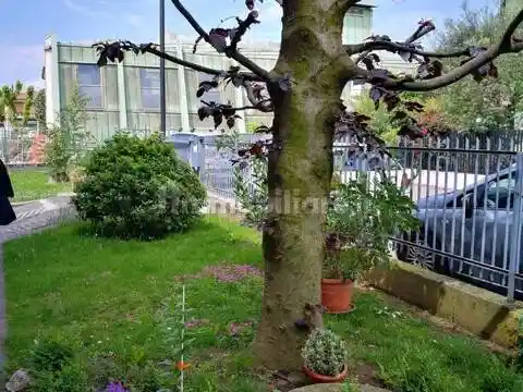 Appartamento in vendita a Grassobbio
