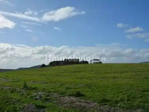 Rustico - Casale in vendita a Santa Luce