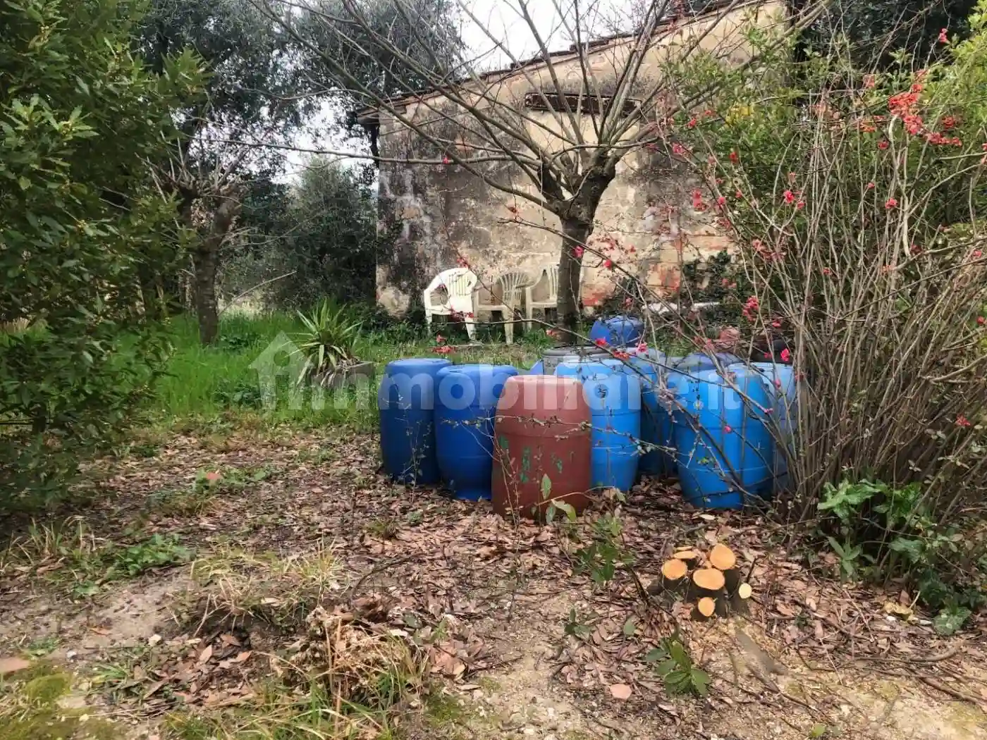 Rustico - Casale - foto 3