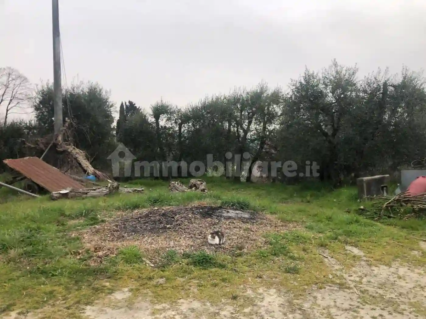 Rustico - Casale - foto 5